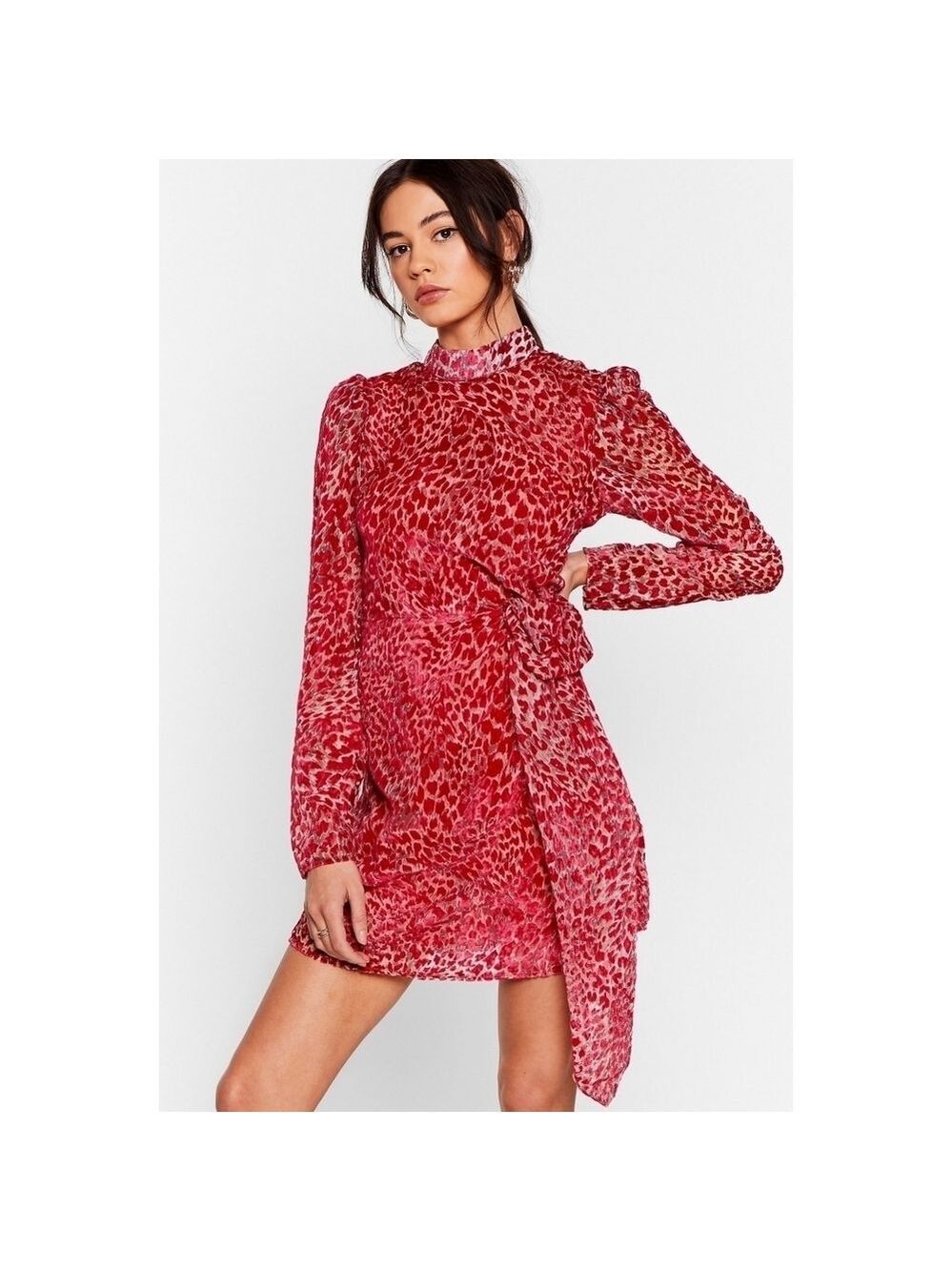Wild About It Leopard Mini Dress